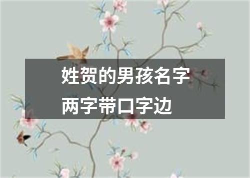 姓贺的男孩名字两字带口字边