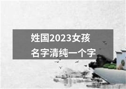 姓国2023女孩名字清纯一个字