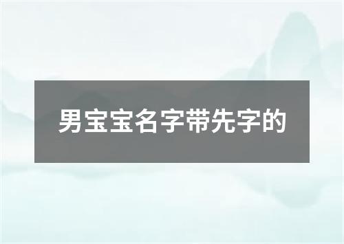 男宝宝名字带先字的