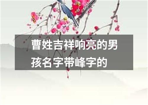 曹姓吉祥响亮的男孩名字带峰字的