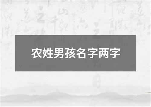 农姓男孩名字两字