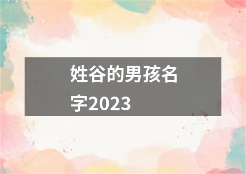 姓谷的男孩名字2023