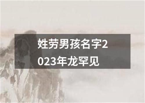 姓劳男孩名字2023年龙罕见