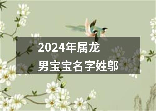 2024年属龙男宝宝名字姓邬