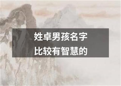 姓卓男孩名字比较有智慧的