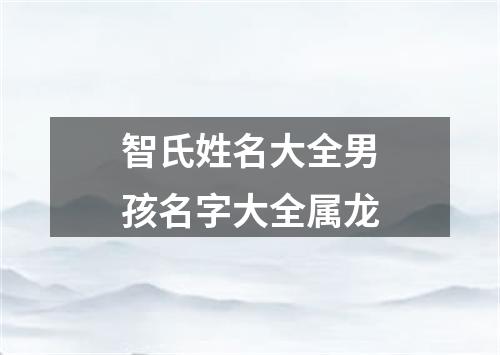 智氏姓名大全男孩名字大全属龙