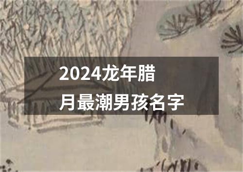 2024龙年腊月最潮男孩名字