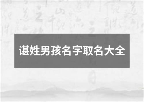 谌姓男孩名字取名大全