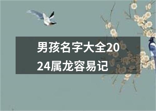 男孩名字大全2024属龙容易记