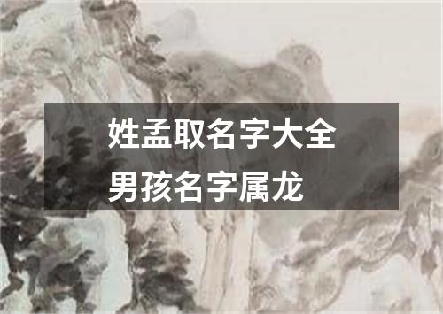 姓孟取名字大全男孩名字属龙