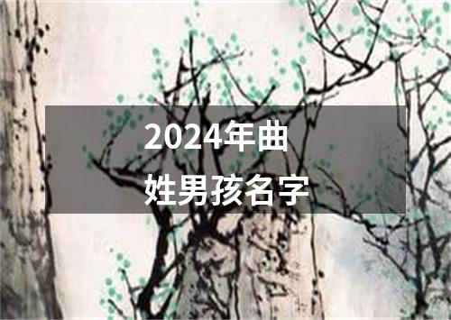 2024年曲姓男孩名字