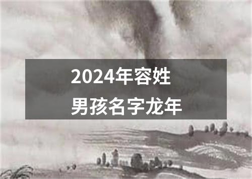 2024年容姓男孩名字龙年