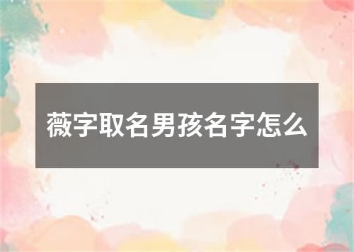 薇字取名男孩名字怎么