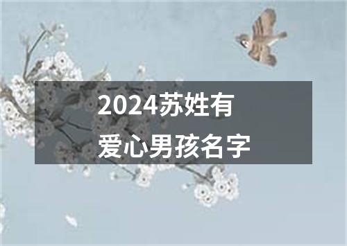 2024苏姓有爱心男孩名字