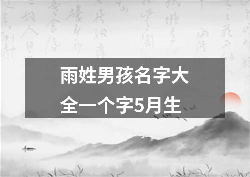 雨姓男孩名字大全一个字5月生