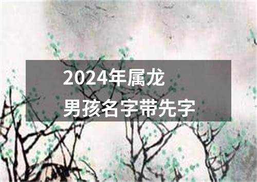 2024年属龙男孩名字带先字