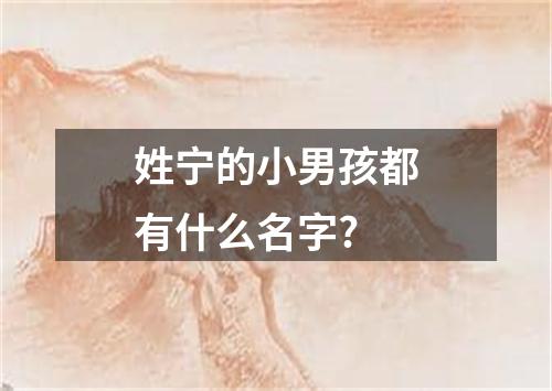 姓宁的小男孩都有什么名字?