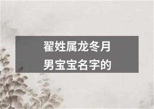 翟姓属龙冬月男宝宝名字的