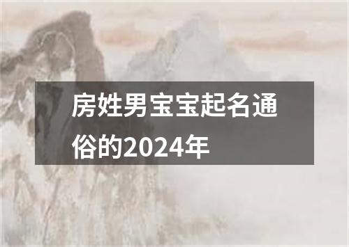 房姓男宝宝起名通俗的2024年