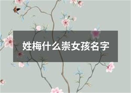 姓梅什么崇女孩名字