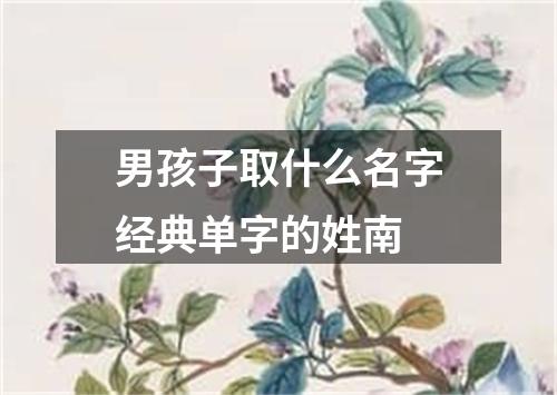 男孩子取什么名字经典单字的姓南