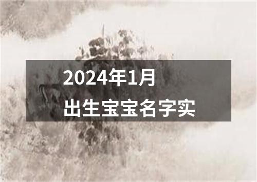 2024年1月出生宝宝名字实