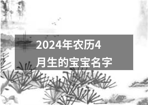 2024年农历4月生的宝宝名字