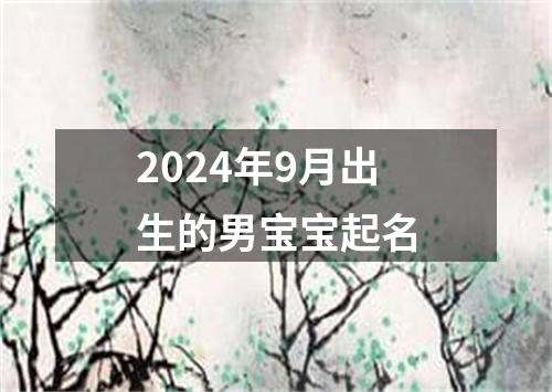 2024年9月出生的男宝宝起名