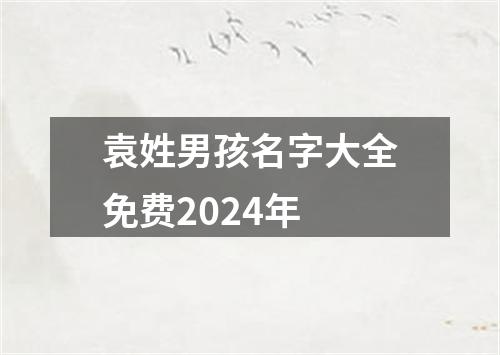 袁姓男孩名字大全免费2024年