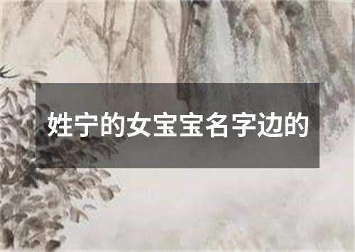 姓宁的女宝宝名字边的