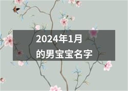 2024年1月的男宝宝名字