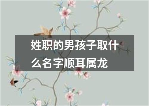 姓职的男孩子取什么名字顺耳属龙