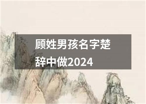 顾姓男孩名字楚辞中做2024