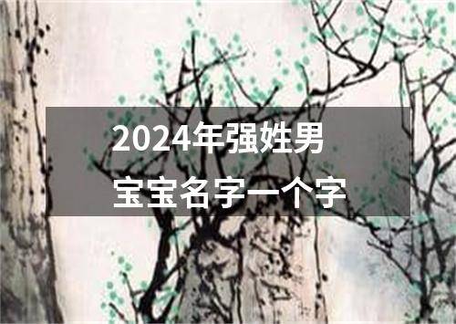 2024年强姓男宝宝名字一个字