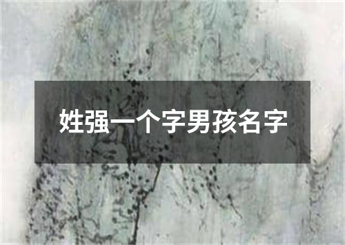 姓强一个字男孩名字