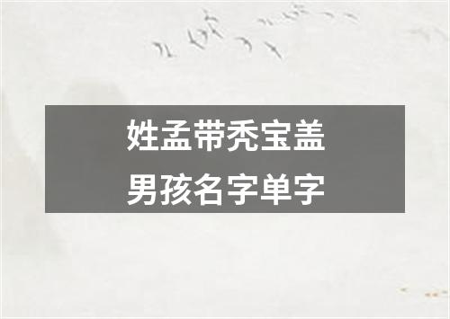 姓孟带秃宝盖男孩名字单字