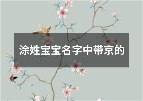 涂姓宝宝名字中带京的