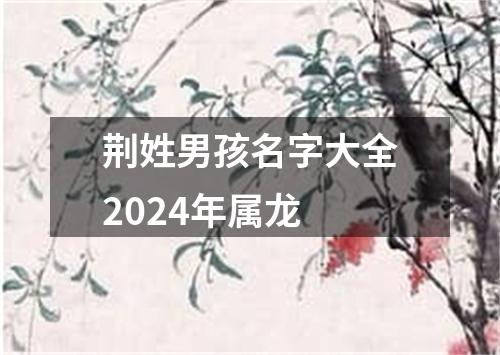 荆姓男孩名字大全2024年属龙