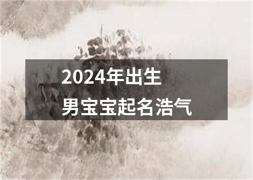 2024年出生男宝宝起名浩气