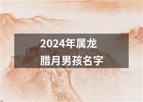 2024年属龙腊月男孩名字