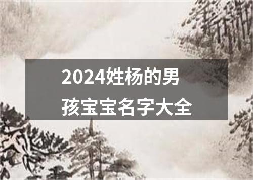 2024姓杨的男孩宝宝名字大全