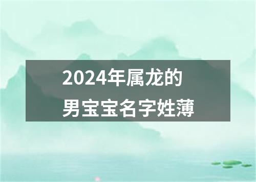 2024年属龙的男宝宝名字姓薄