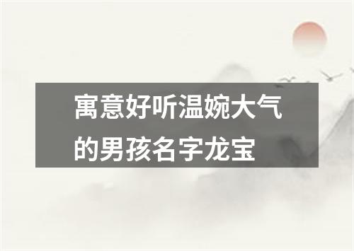 寓意好听温婉大气的男孩名字龙宝