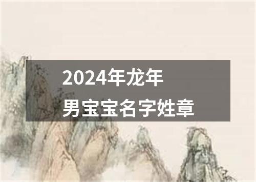 2024年龙年男宝宝名字姓章