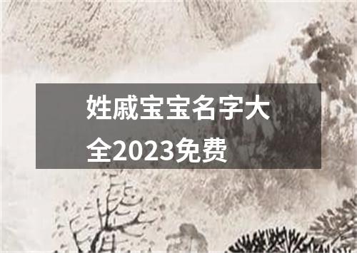 姓戚宝宝名字大全2023免费