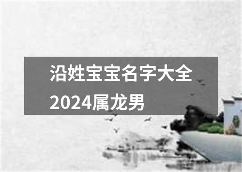 沿姓宝宝名字大全2024属龙男