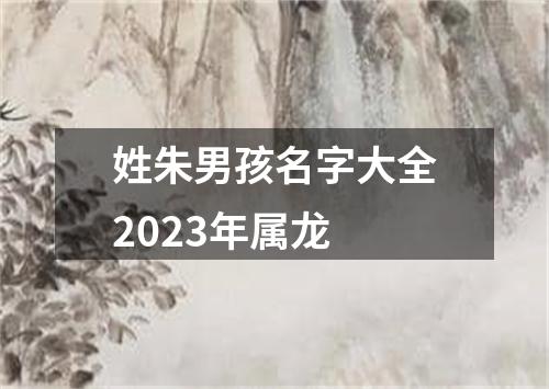 姓朱男孩名字大全2023年属龙