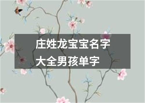 庄姓龙宝宝名字大全男孩单字