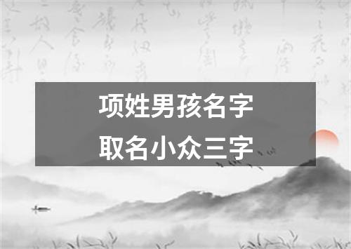 项姓男孩名字取名小众三字