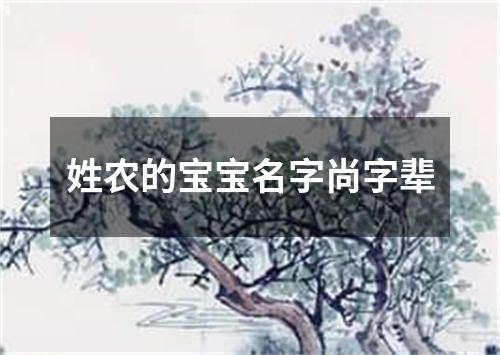 姓农的宝宝名字尚字辈